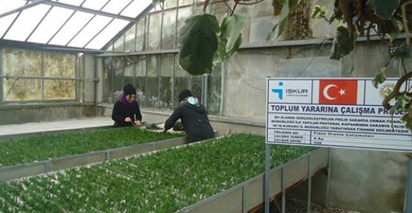 HENDEK FİDANLIK ŞEFLİĞİ 2014 YILI YENİ UYGULAMALARI