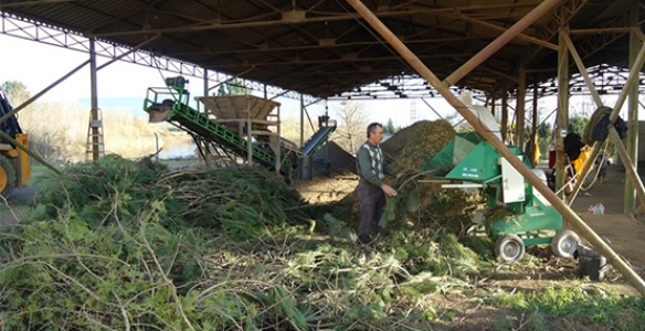 HENDEK FİDANLIK ŞEFLİĞİNDE GERİ DÖNÜŞÜM