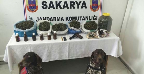 HENDEK JANDARMADAN UYUŞTURUCUYA BÜYÜK DARBE