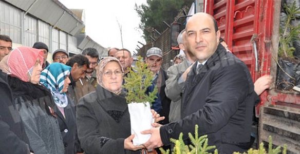 HENDEK'LİLERE YENİ YIL FİDANI 