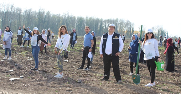 Hendek’te 12 bin 700 Fidan Toprakla Buluştu