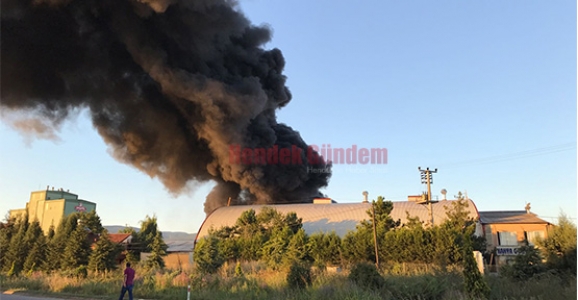 HENDEK’TE FABRİKADA YANGIN ÇIKTI GÖKYÜZÜ SİYAHA BÜRÜNDÜ