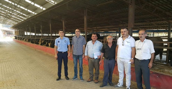 Hendek’te Kesimhaneler Denetlendi