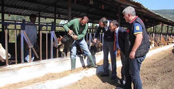 HENDEK’TE KESİMHANELER DENETLENDİ