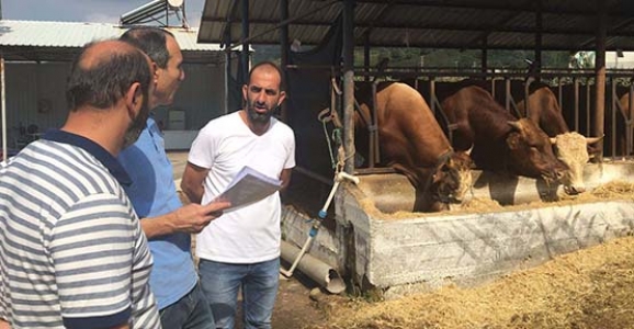 HENDEK’TE KESİMHANELER DENETLENDİ