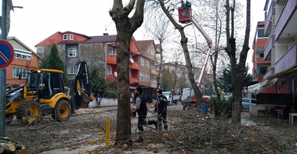 Hendek’te Kış Hazırlıkları Başladı
