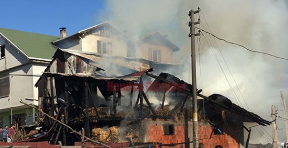 HENDEK’TE KORKUTAN YANGIN