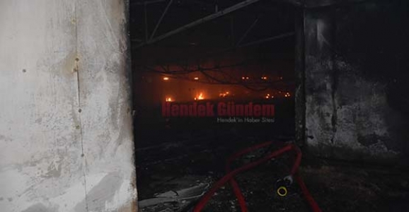 Hendek’te Tavuk Kümesinde Yangın 