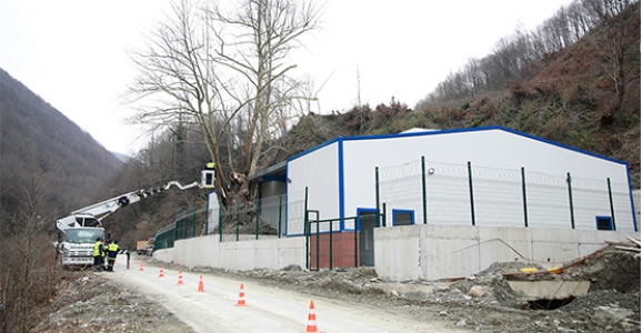 HENDEK’TE TESİS PROJESİ ASIRLIK AĞACA GÖRE YAPILDI