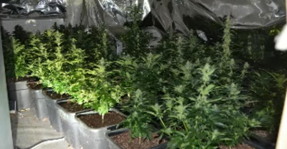 HENDEK’TE UYUŞTURUCU İLE MÜCADELE HIZ KAZANDI