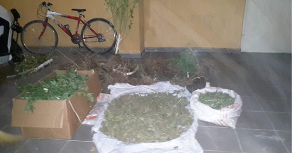 Hendek’te Uyuşturucu Operasyonu