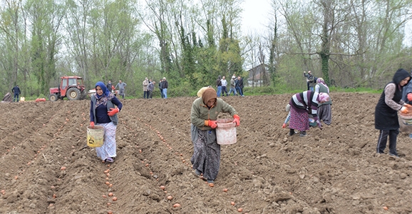 Hendek’ten Türkiye’ye Model Proje