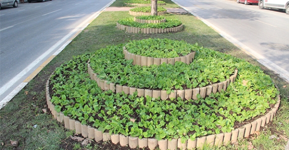 HER MEVSİM DAHA GÜZEL SAKARYA