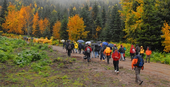 İlkbahar Dönemi Doğa Yürüyüşleri Başlıyor