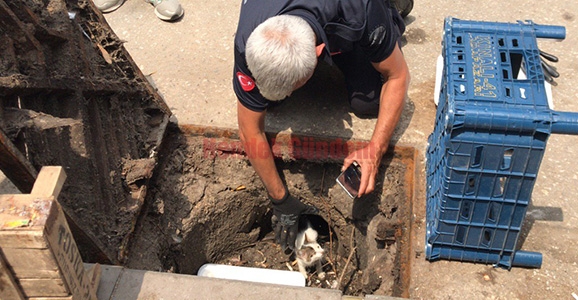 İtfaiyeden Kedi Kurtarma Operasyonu