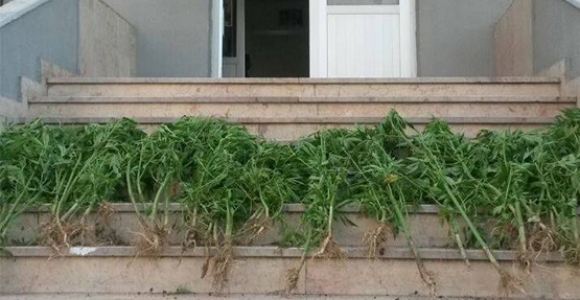 JANDARMA UYUŞTURUCUYA GÖZ AÇTIRMIYOR