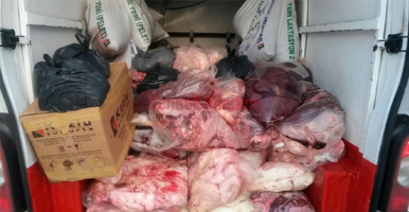 JANDARMA’DAN KAÇAK ET VE MÜLTECİ OPERASYONU