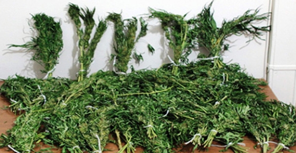 JANDARMA’DAN UYUŞTURUCU ÇALIŞMASI 