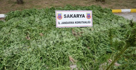 JANDARMADAN UYUŞTURUCU OPERASYONU