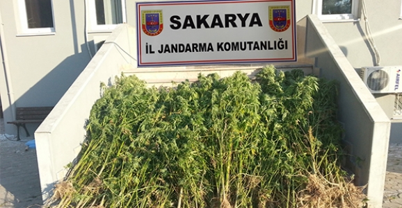  JANDARMA’DAN UYUŞTURUCUYA GEÇİT YOK 