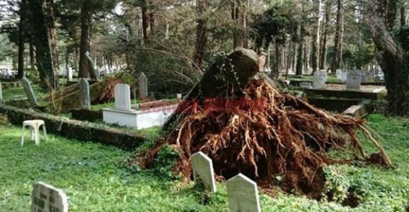 KABRİSTANLIK ALLAH'A EMANET