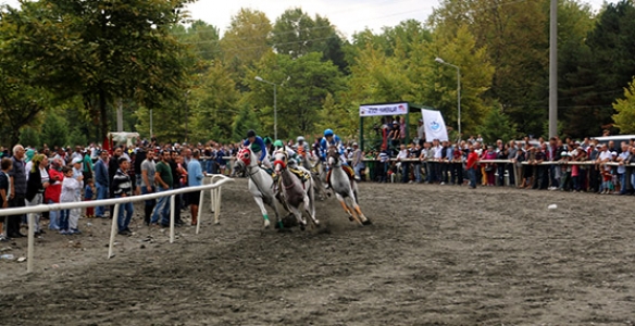 KARTEPE HİPODROMUNDA SAPANCA BELEDİYE BAŞKANLIĞI KOŞUSU
