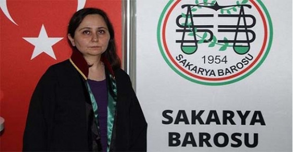 Toplanan Küpeli Köpekler Hendek Çam Dağı ve Kerestecilerde Bulundu