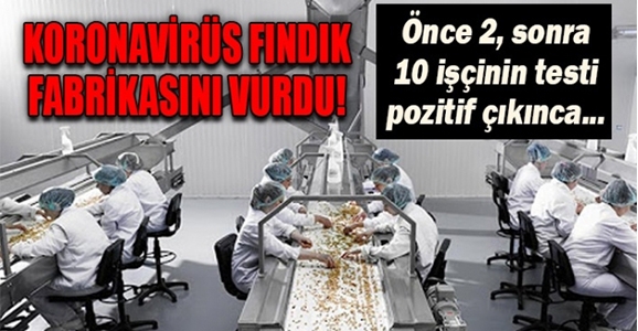 Koronavirüs Fındık Fabrikasını Vurdu