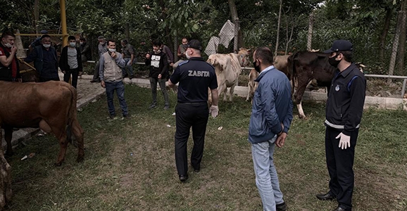 Kurban Satış Yerlerinde Denetim 