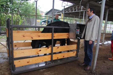 KURBANLIKLARA GEBELİK VE KİLO KONTROLU   