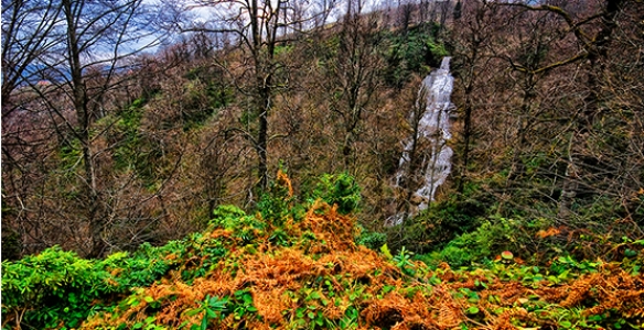 KURTULUŞ MAHALLESİ’NDE GÜZELLİĞİ KEŞFETTİLER