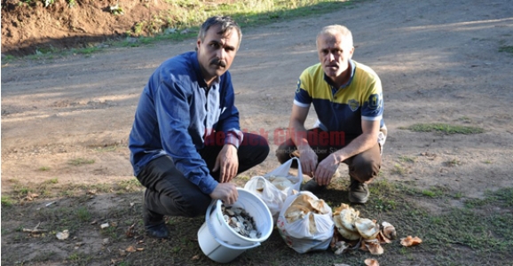 MANTAR YERİNE BOZUK PARA