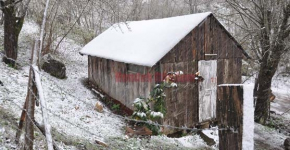 MART KAPIDAN BAKTIRDI