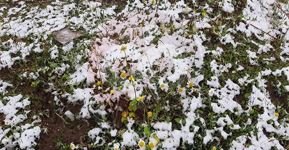 Mayıs’ta Kar Sürprizi