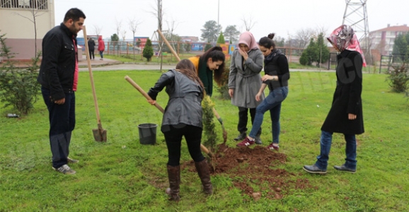 ÖĞRENCİLER FİDANLARI TOPRAKLA BULUŞTURDU