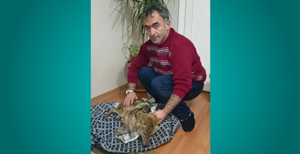 ÖĞRETMENDEN ÖRNEK DAVRANIŞ