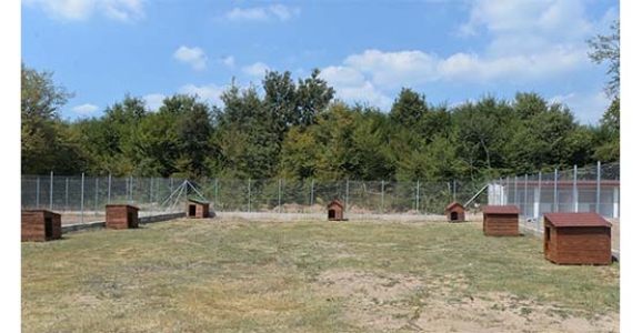 ONLARIN DA BİR YUVASI VAR