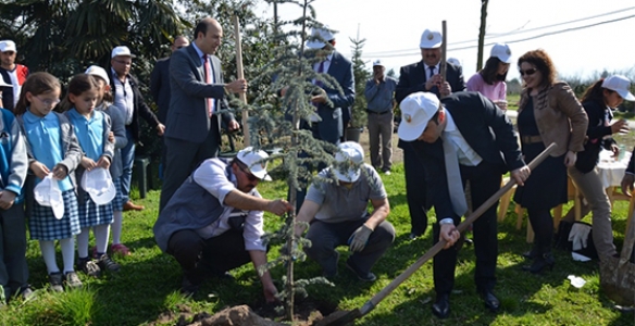 ORMAN HAFTASI ETKİNLİKLERİ DÜZENLENDİ