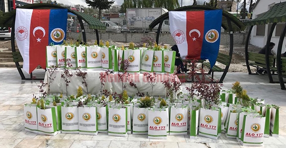 Orman İşletmeden Kandil Fidanı