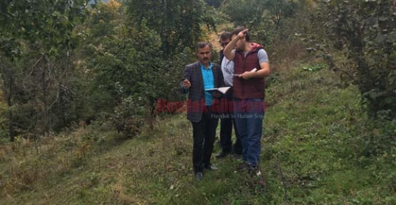 ORMANDAKİ FINDIK TARİFE BEDELİ İLE TOPLANACAK