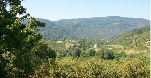 ORMANLIK ALANDA KUM-ÇAKIL OCAĞI