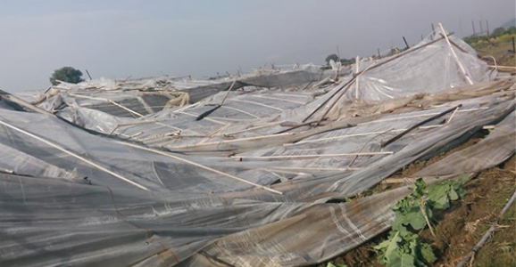 PAMUKOVA’DA ŞİDDETLİ YAĞMUR ÇİFTÇİYİ MAĞDUR ETTİ