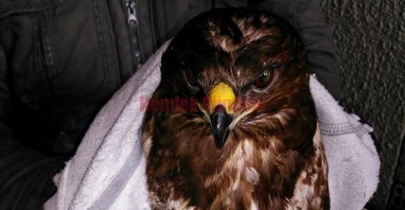 PINARLI MUHTARINDAN ÖRNEK DAVRANIŞ