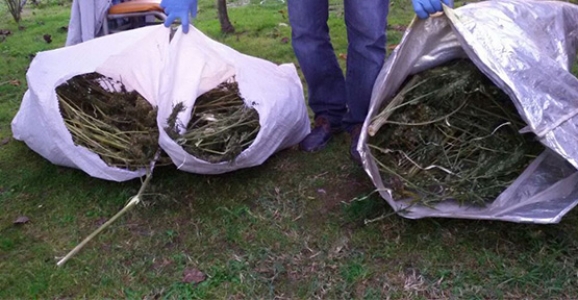 POLİS KİREMİTLERİ KIRARAK ESRARA ULAŞTI