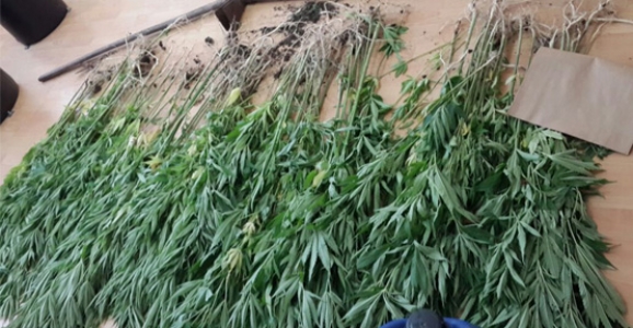 POLİS UYUŞTURU OPERASYONLARINA BAŞLADI