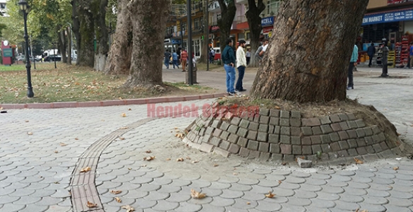 PRESTİJ CADDESİNDE PRESTİJİ BOZULANLAR -1