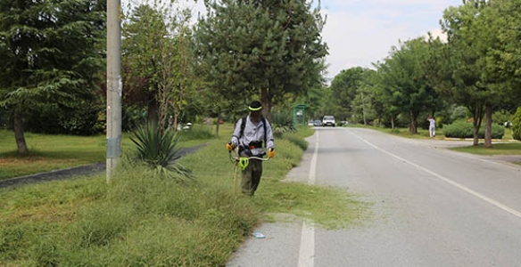 SAPANCA BELEDİYESİ ÇALIŞIYOR