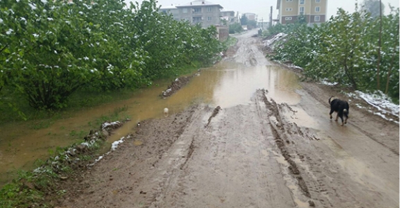 SARIDEDE SAKİNLERİ BOZULAN YOLLARIN YAPILMASINI BEKLİYOR