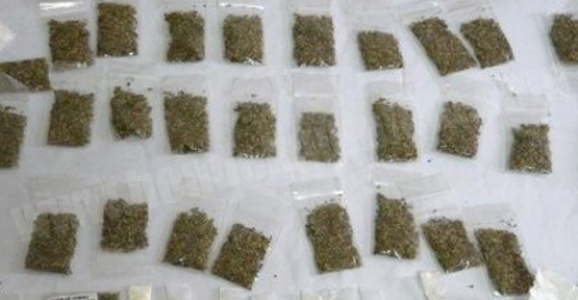 SATIŞA HAZIR BONZAİ ELE GEÇİRİLDİ