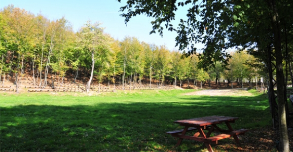 SELMAN DEDE ARTIK ÜCRETLİ